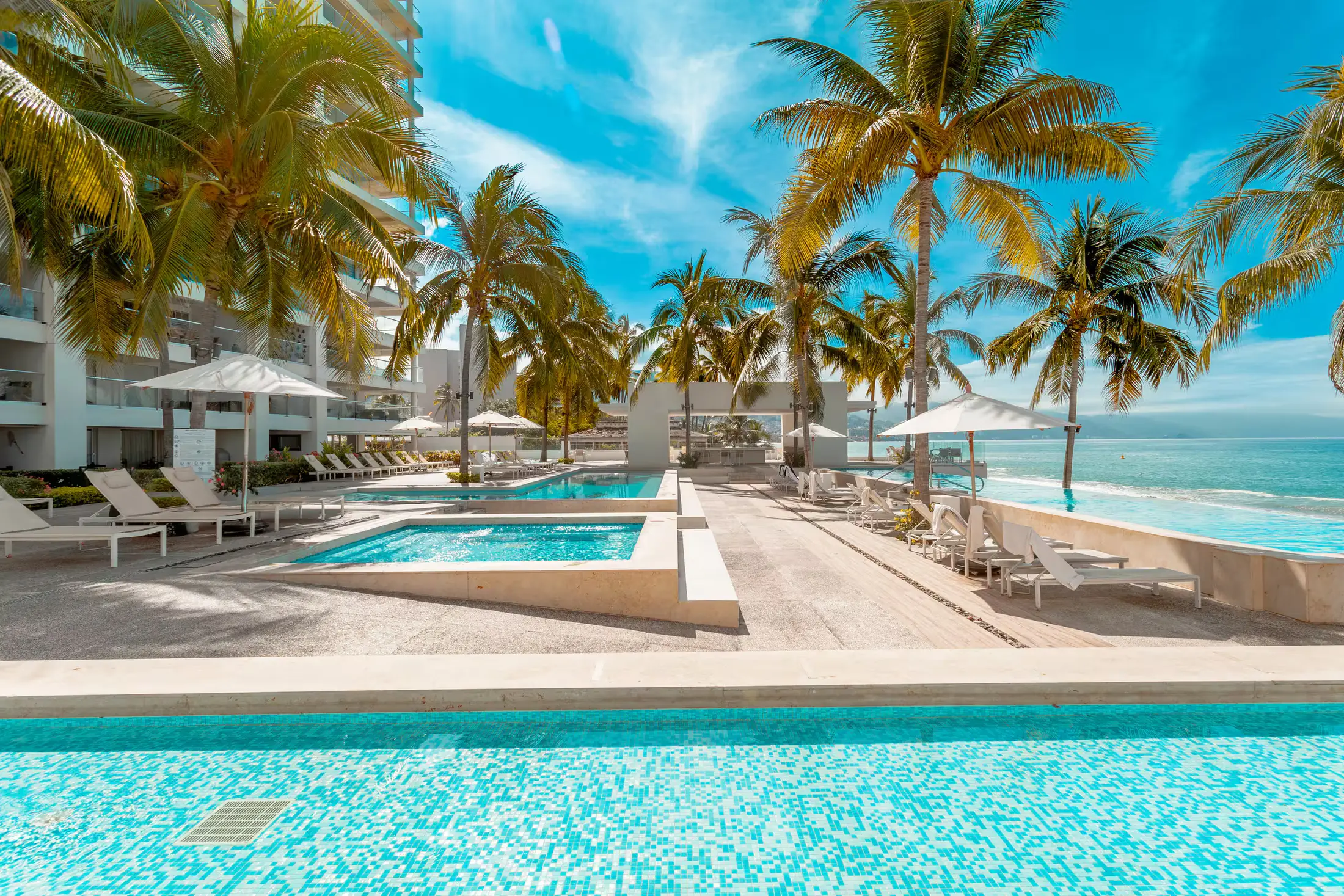 Beachfront pool deck with palms and Pacific views